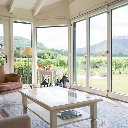 Wonderful Among The Vineyards * Palt