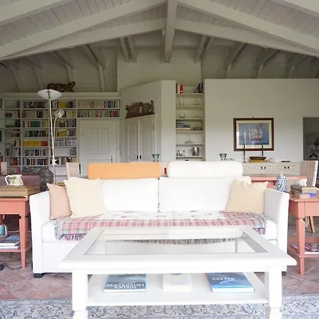 Wonderful Among The Vineyards Palt