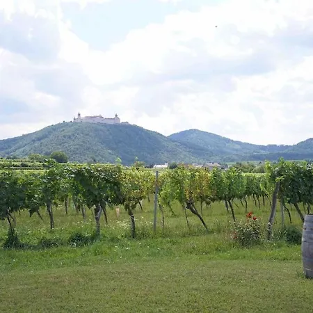 Willa Wonderful Among The Vineyards *