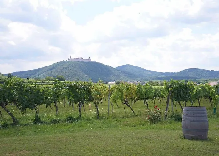 וילה Wonderful Among The Vineyards *